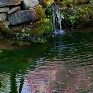 Create a Living Landscape Image